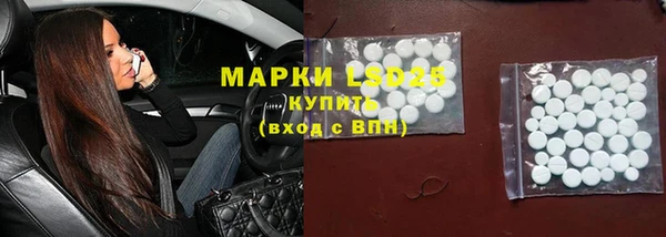 гашик Белокуриха