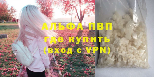 спиды Богданович