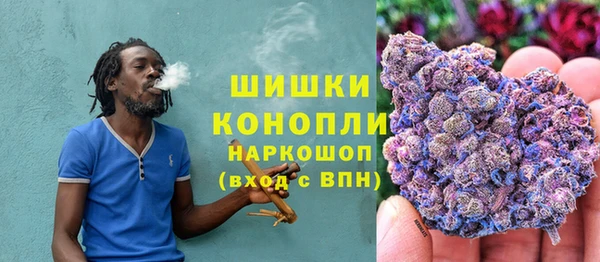 спиды Богданович
