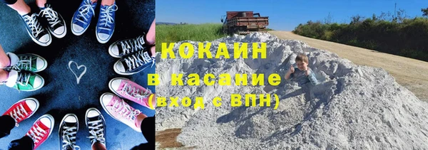 спиды Богданович