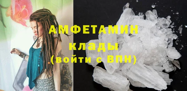 спиды Богданович